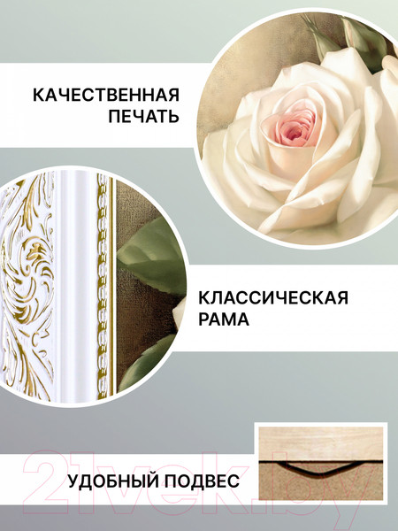 Изображение товара Картина Декарт Белые розы 8Л2372 (в раме)