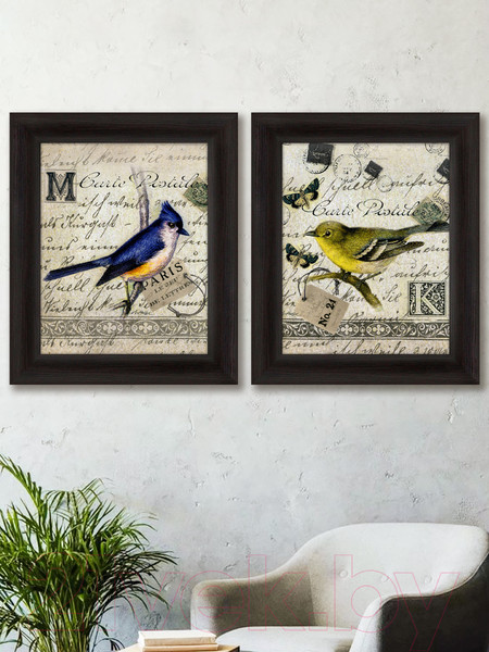 Изображение товара Картина Декарт Редкая птичка 1 8Л1652 (в раме)