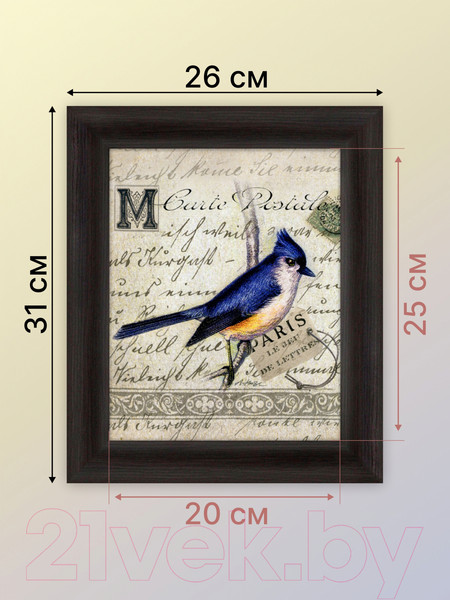 Изображение товара Картина Декарт Редкая птичка 1 8Л1652 (в раме)