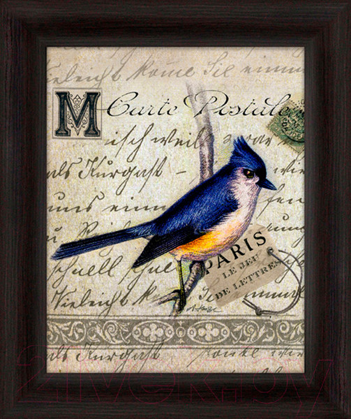 Изображение товара Картина Декарт Редкая птичка 1 8Л1652 (в раме)