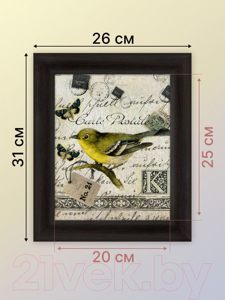 Изображение товара Картина Декарт Зеленая птичка 8Л1653 (в раме)