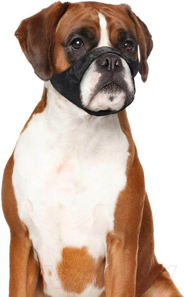 Изображение товара Намордник для собак Duvo Plus Dog Muzzle / 4705135/DV (Short, черный)