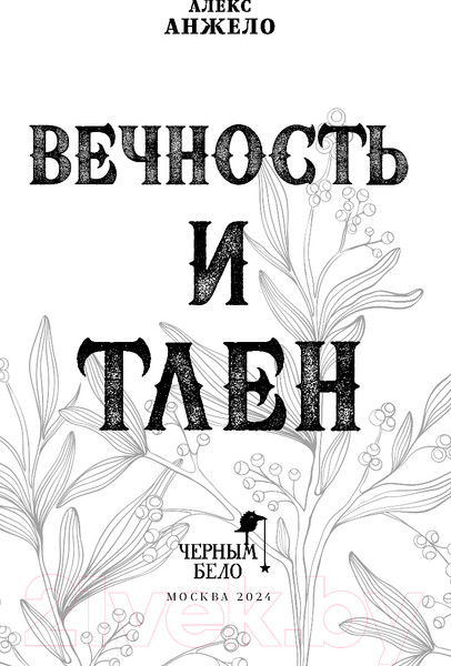 Изображение товара Книга Черным-бело Вечность и Тлен / 9785041670252 (Анжело А.)