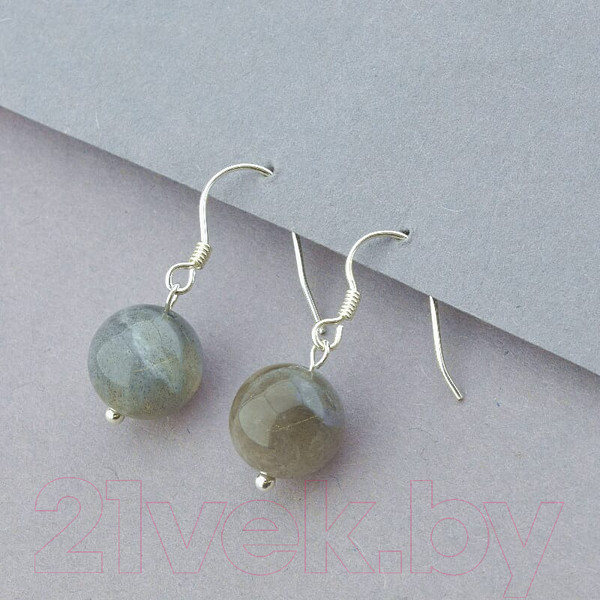 Изображение товара Серьги Wolves Элитный Лабрадор 40855 №1