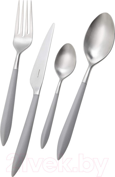 Изображение товара Набор столовых приборов Bugatti Ares ASBG-004F50 (24пр, матовая сталь/серый)