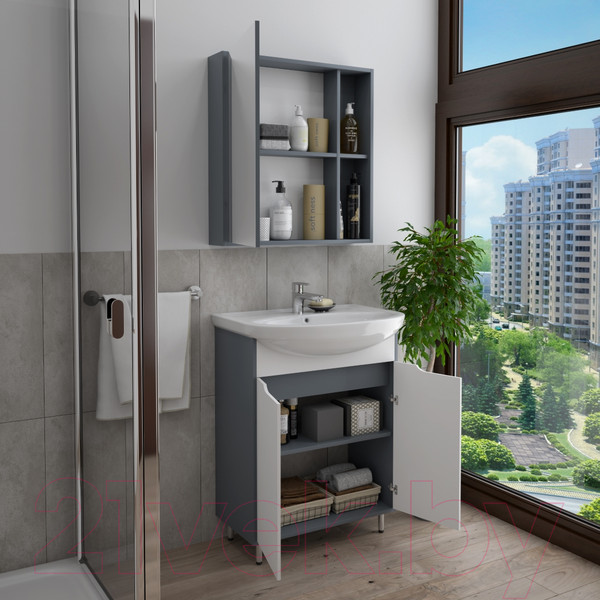 Изображение товара Тумба под умывальник Teymi Aina 60 / T60004 (белый/графит)