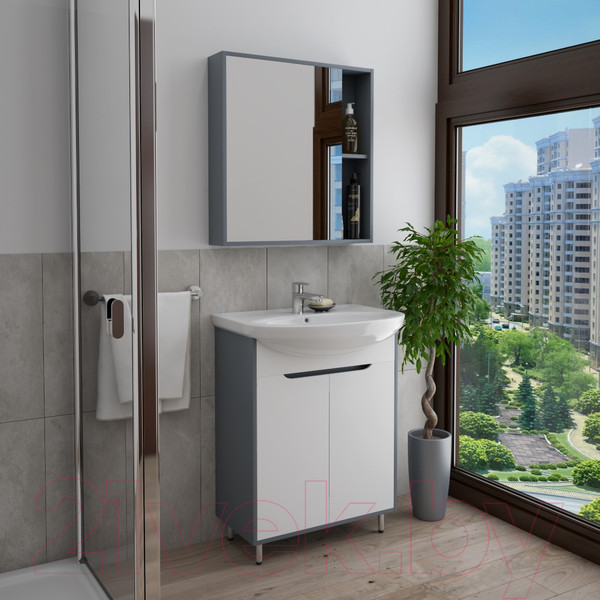 Изображение товара Тумба под умывальник Teymi Aina 60 / T60004 (белый/графит)