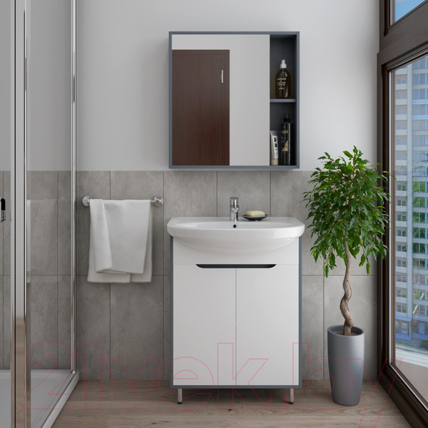 Изображение товара Тумба под умывальник Teymi Aina 60 / T60004 (белый/графит)