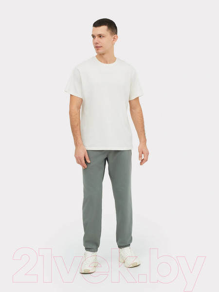 Изображение товара Штаны Mark Formelle 181256 (р.82-170/176, камень)