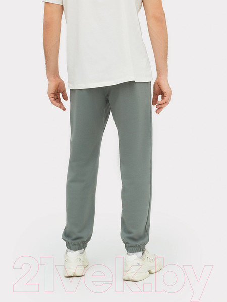 Изображение товара Штаны Mark Formelle 181256 (р.82-170/176, камень)