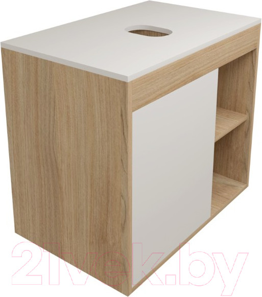 Изображение товара Тумба под умывальник Teymi Nura 70 / T60528 (дуб эврика/белый матовый)