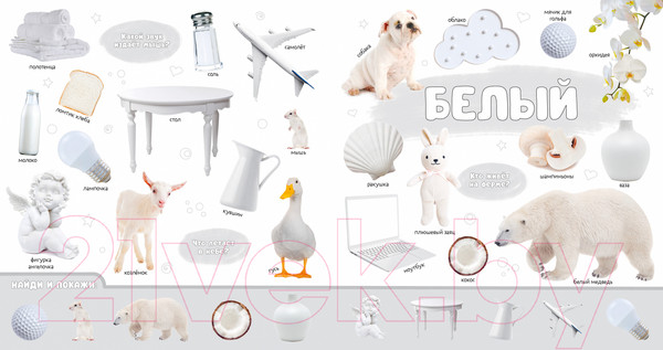 Изображение товара Развивающая книга CLEVER Первая фотокнига малыша. Цвета / 9785002115624