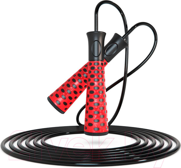 Изображение товара Скакалка DFC TF-SR50R (красный)