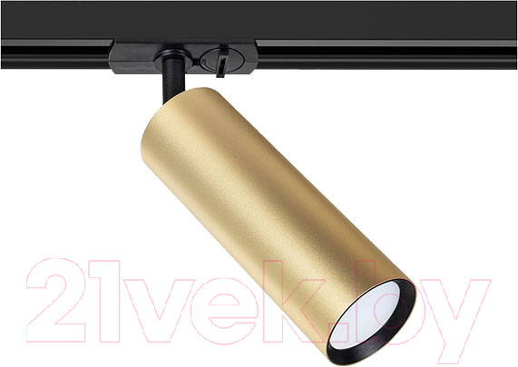 Изображение товара Трековый светильник Arte Lamp Beid A1515PL-1SG