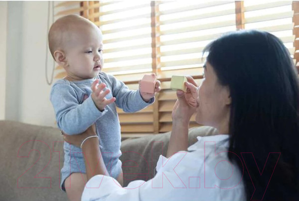 Изображение товара Развивающий игровой набор Plan Toys Блоки Прикоснись и угадай / 5257