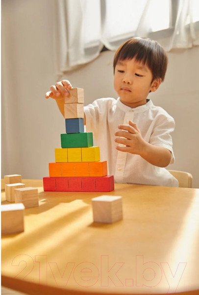 Изображение товара Развивающий игровой набор Plan Toys Кубики Мозайка / 5464