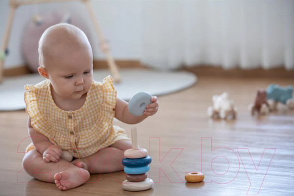 Изображение товара Развивающий игровой набор Plan Toys Пирамидка Кольца / 5474