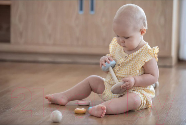 Изображение товара Развивающий игровой набор Plan Toys Пирамидка Кольца / 5474