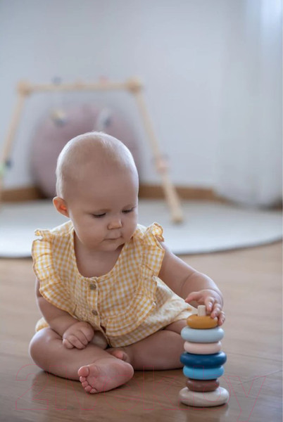 Изображение товара Развивающий игровой набор Plan Toys Пирамидка Кольца / 5474