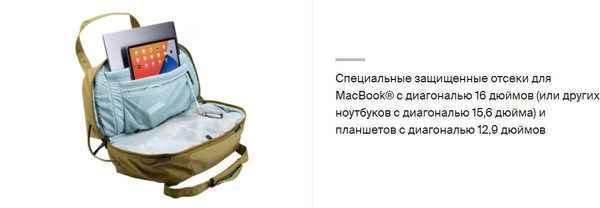 Изображение товара Спортивная сумка Thule Aion 35L TAWD135NUTRIA / 3204726 (коричневый)