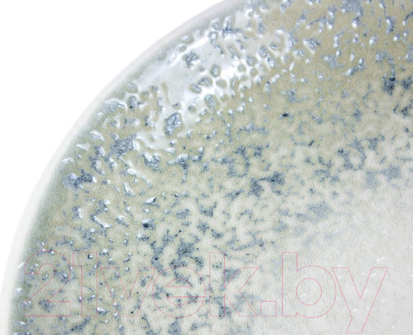 Изображение товара Тарелка столовая обеденная By Bone TN-NM-ZT-25-DZ