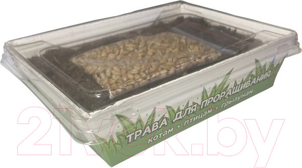 Изображение товара Набор для выращивания травы для животных Bunny Зеленая нива (30г)