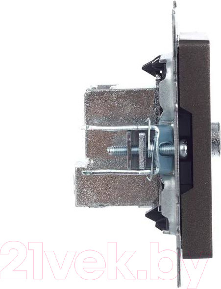 Изображение товара Розетка IEK Brite BR-A10-P-K45 (темная бронза)