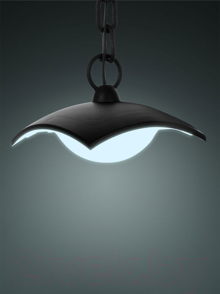 Изображение товара Светильник уличный TDM SQ0330-1334