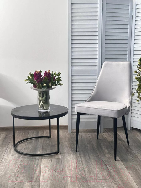 Изображение товара Стул M-City Nepal-P / 461MC05520 (светло-серый BM-4 велюр/черный)