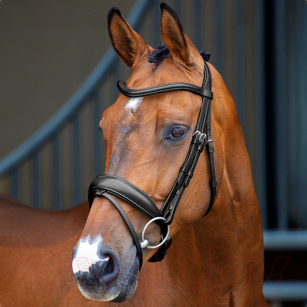 Изображение товара Оголовье для лошади Shires Lussio Dressage XFULL / 5098/BLACK/XFULL (черный)