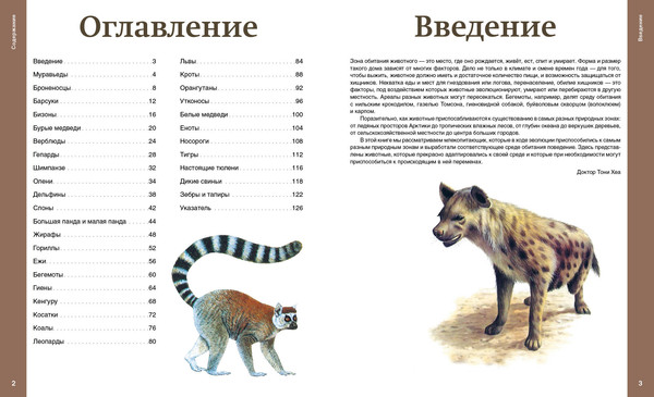 Изображение товара Энциклопедия Эксмо Самые необычные звери мира, твердая обложка (Хеа Тони)