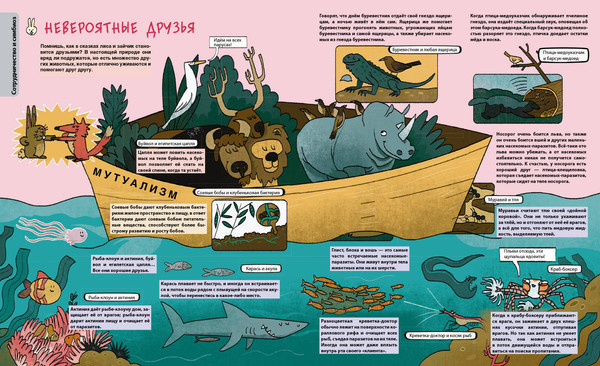 Изображение товара Энциклопедия Эксмо Я отличник. Просто о непростых школьных предметах