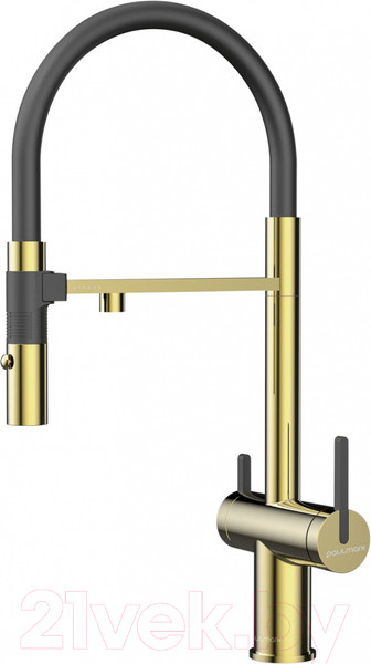 Изображение товара Смеситель Paulmark Gr213188-G