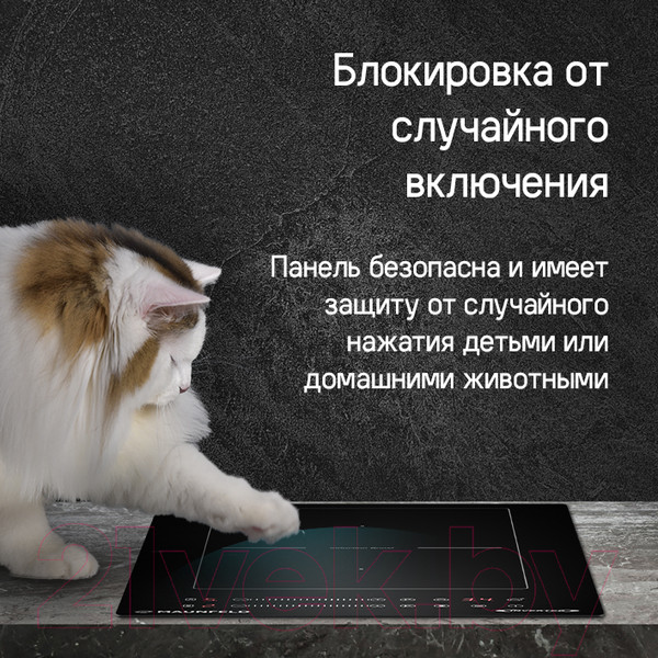 Изображение товара Индукционная варочная панель Maunfeld CVI292S2BBK Inverter