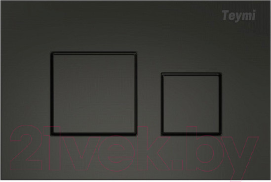 Изображение товара Кнопка для инсталляции Teymi Kati / T70702BM (черный матовый)