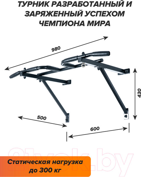 Изображение товара Турник Absolute Champion Треххватный Мультихват к стене / АЧ 11671 (черный/черные ручки)
