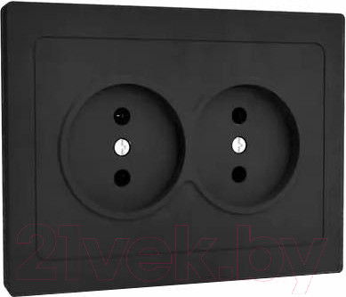 Изображение товара Розетка Tokov Electric Pixel TKE-PX-R2F-C14 (карбон)