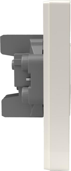 Изображение товара Розетка Tokov Electric Pixel TKE-PX-R2F-C02 (бежевый)