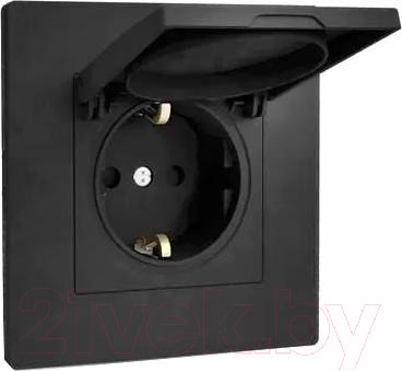 Изображение товара Розетка Tokov Electric Pixel TKE-PX-R1ZSW1-C14 (карбон)