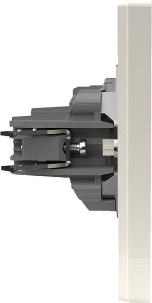 Изображение товара Розетка Tokov Electric Pixel TKE-PX-R1F-C02 (бежевый)