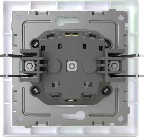 Изображение товара Розетка Tokov Electric Pixel TKE-PX-R1FZSF-C04 (перламутровый)