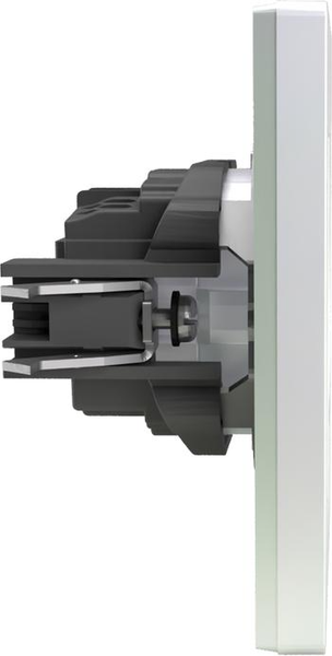 Изображение товара Розетка Tokov Electric Pixel TKE-PX-R1FZSF-C04 (перламутровый)