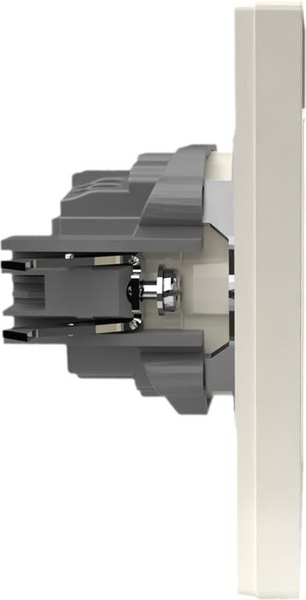 Изображение товара Розетка Tokov Electric TKE-PX-R1FZSF-C02 (бежевый)
