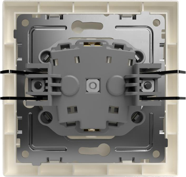 Изображение товара Розетка Tokov Electric TKE-PX-R1FZSF-C02 (бежевый)