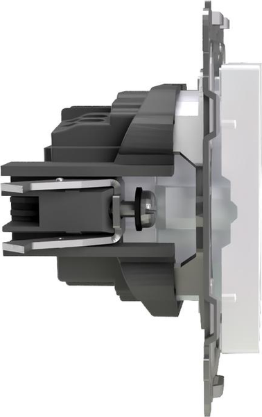 Изображение товара Розетка Tokov Electric Pixel TKE-PX-R1ZSF-C04 (перламутровый)