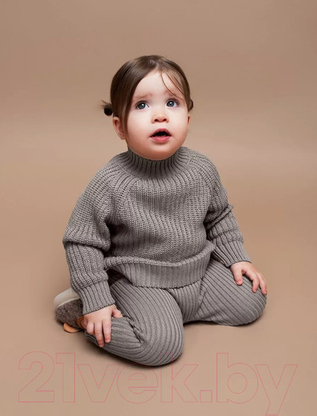 Изображение товара Джемпер для малышей Amarobaby Warm / AB-OD23-W26/12-86 (коричневый, р.86)