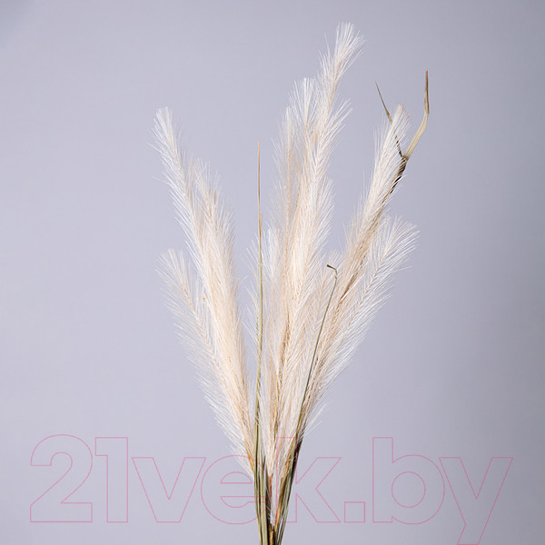 Изображение товара Искусственная ветка Lefard Помпасная трава / 535-358 (кремовый)