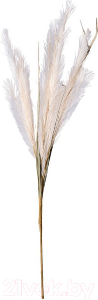 Изображение товара Искусственная ветка Lefard Помпасная трава / 535-358 (кремовый)