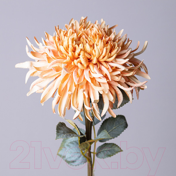 Изображение товара Искусственный цветок Lefard Астра / 535-379 (кремовый)