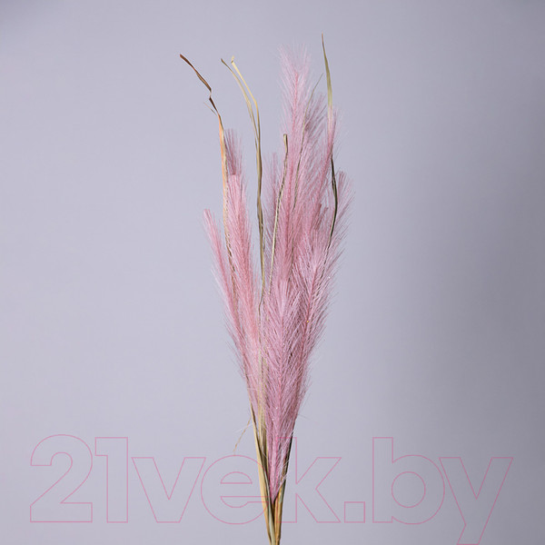 Изображение товара Искусственная ветка Lefard Помпасная трава / 535-426 (пастельный розовый)